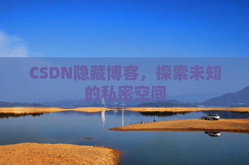 CSDN隐藏博客，探索未知的私密空间